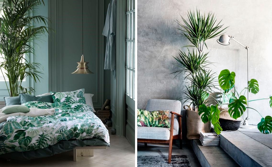 Nature Inspired Interior Design