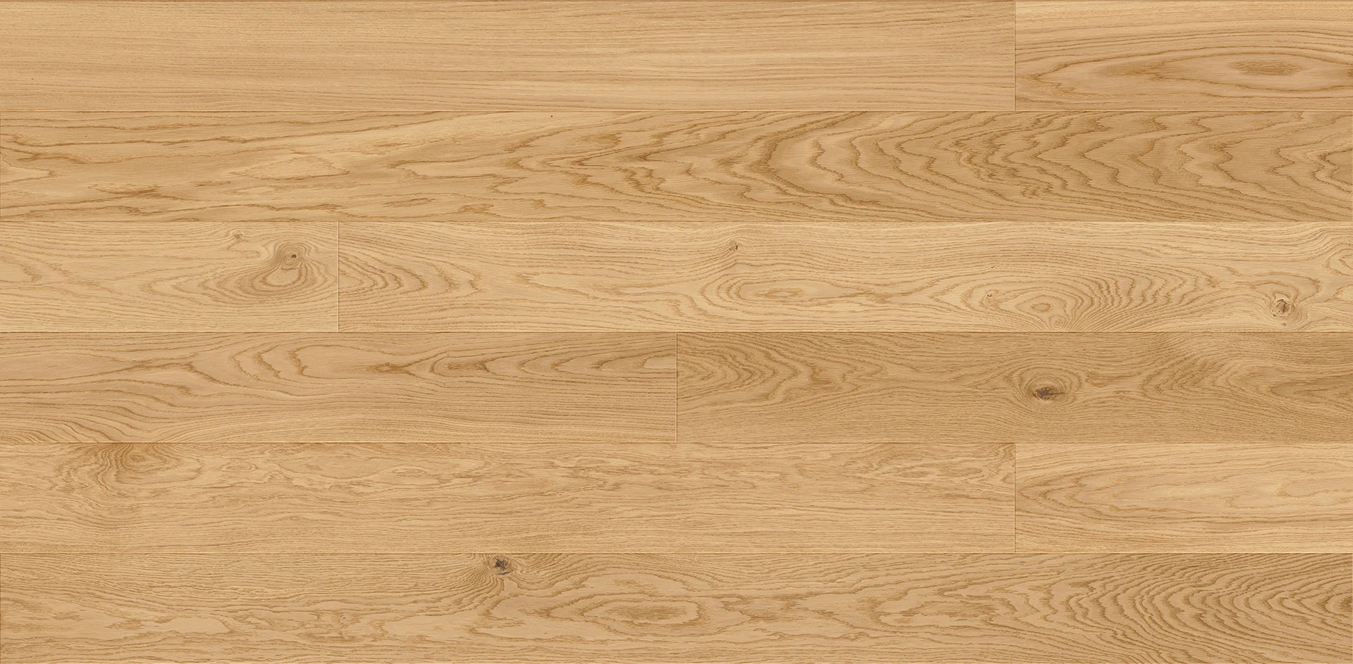 Dąb Azure Window Grande