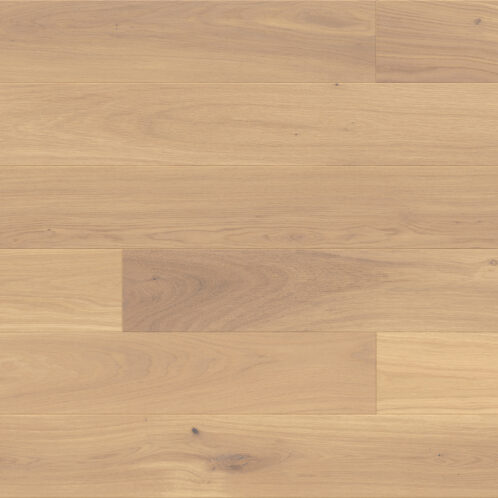 Dąb Banana Song Grande