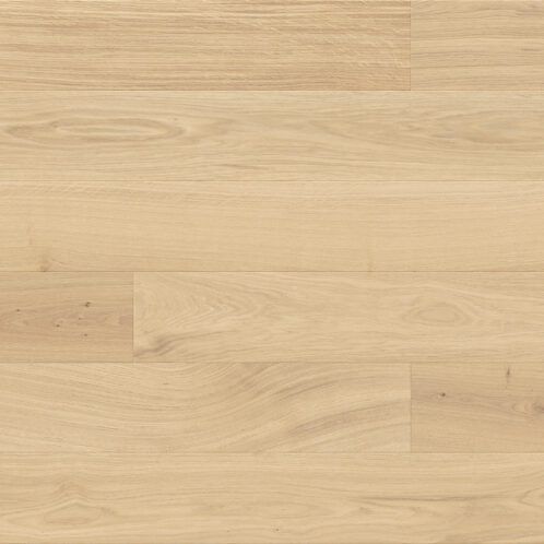 Dąb Cheesecake Grande