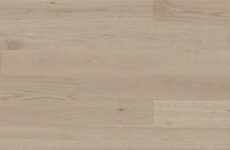 Dąb Marzipan Muffin Grande