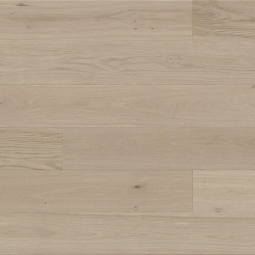 Dąb Marzipan Muffin Grande