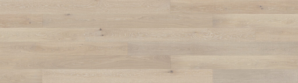 Dąb Cardamomo Grande