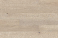 Dąb Cardamomo Grande