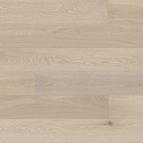 Dąb Cardamomo Grande