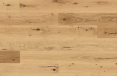 Dąb Grand Canyon Grande