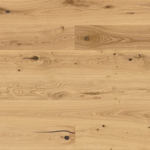 Dąb Grand Canyon Grande