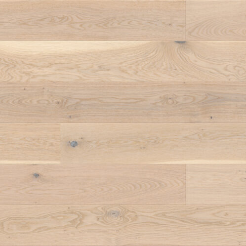 Dąb Biscuits Grande