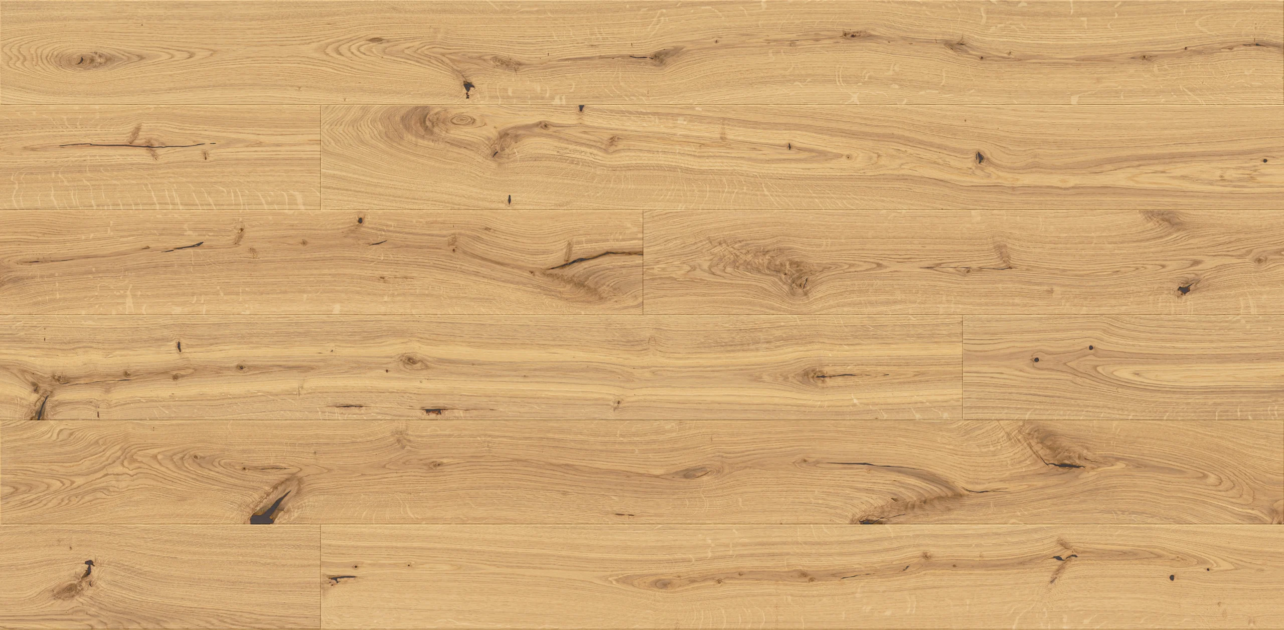 Dąb Calvados Grande