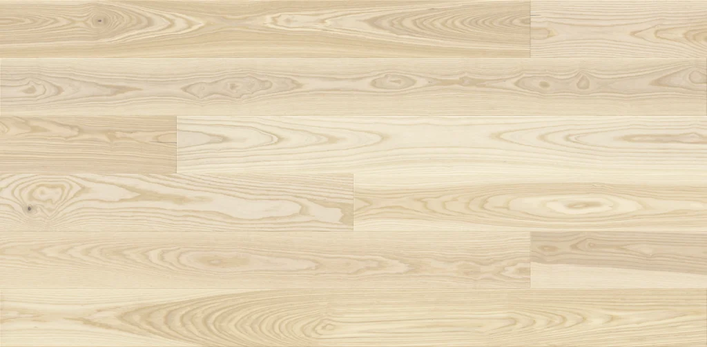 Jesion Milkshake Grande