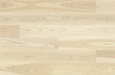 Jesion Milkshake Grande