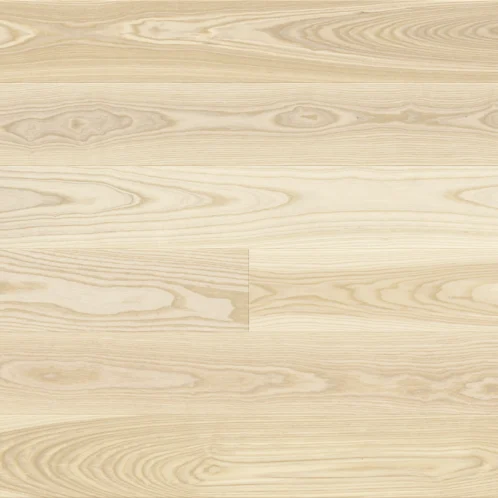 Jesion Milkshake Grande