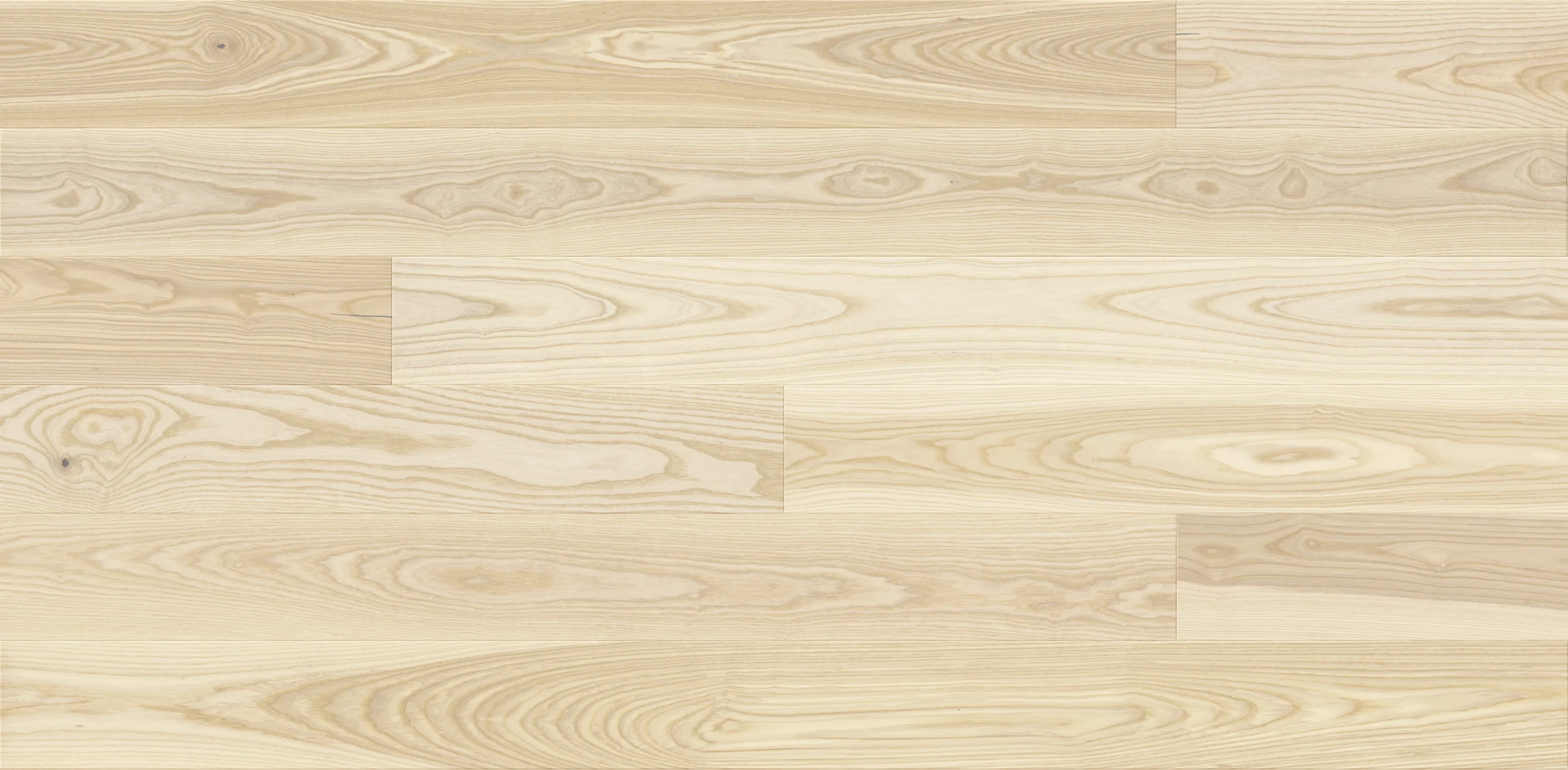 Jesion Milkshake Grande