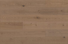 Jesion Hazelnut Grande