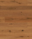 Dąb Brown Sugar Piccolo