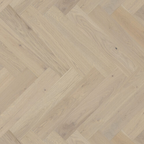 Dąb Marzipan Muffin Jodła Klasyczna 130