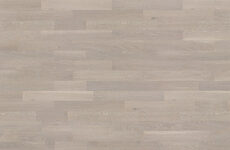 Dąb Cardamomo Molti