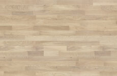 Dąb Cheesecake Molti