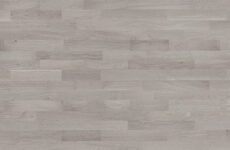 Dąb Marzipan Muffin Molti