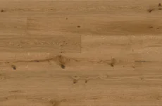 Dąb Biscotti Grande