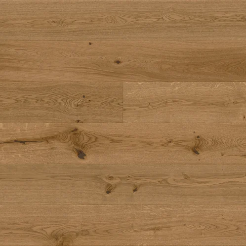 Dąb Biscotti Grande