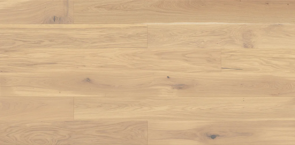 Dąb Mont Blanc Grande