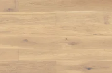 Dąb Mont Blanc Grande