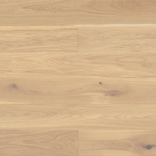 Dąb Mont Blanc Grande