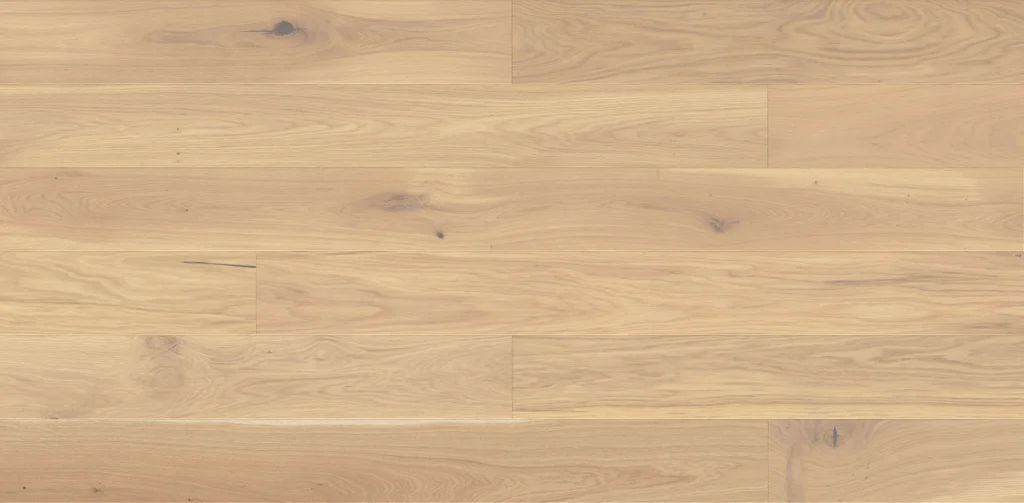 Dąb Mont Blanc Medio