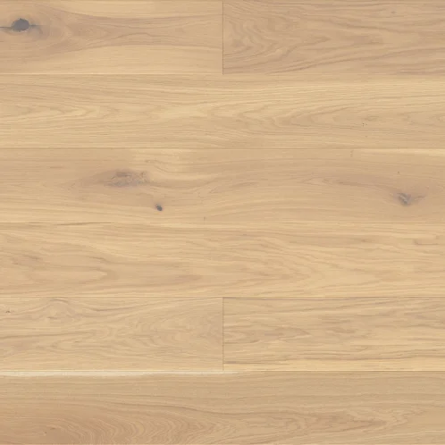 Dąb Mont Blanc Medio