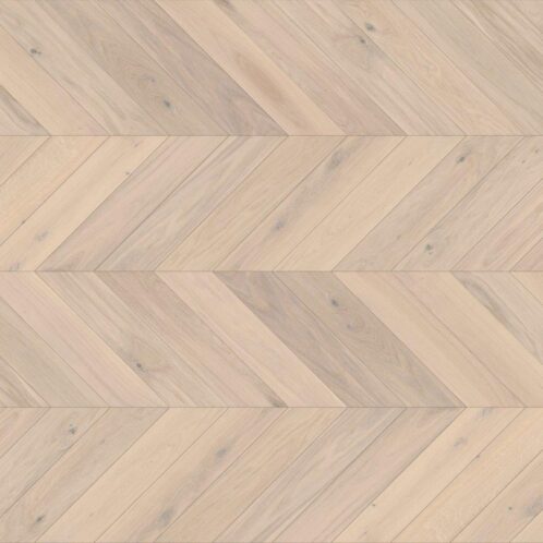 Dąb Trivor Jodła Francuska 130