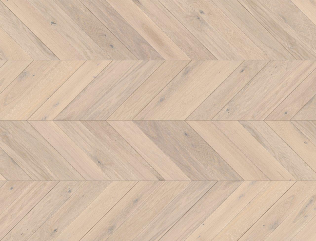 Dąb Trivor Jodła Francuska 130