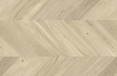 Dąb Salt Jodła Francuska 130 Dąb Salt Jodła Francuska 130
