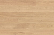 Dąb Tartufo Bianco Grande