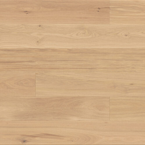 Dąb Tartufo Bianco Grande