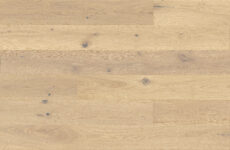 Dąb Oat Cookies Grande