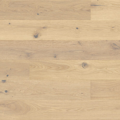 Dąb Oat Cookies Grande