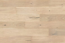 Dąb Cheesecake Grande