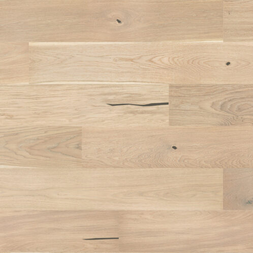 Dąb Cheesecake Grande