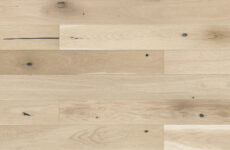 Dąb Creme Brulee Grande