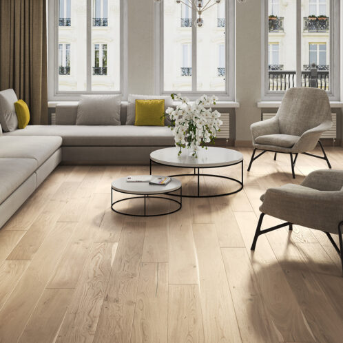 Dąb Biscuits Grande