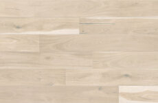 Dąb Biscuits Grande