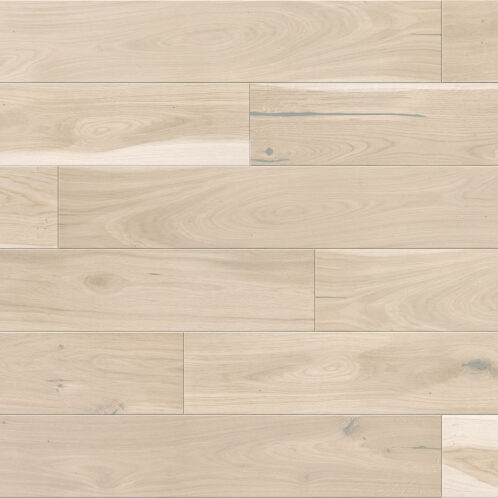 Dąb Biscuits Grande