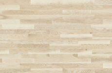 Jesion Milkshake Molti