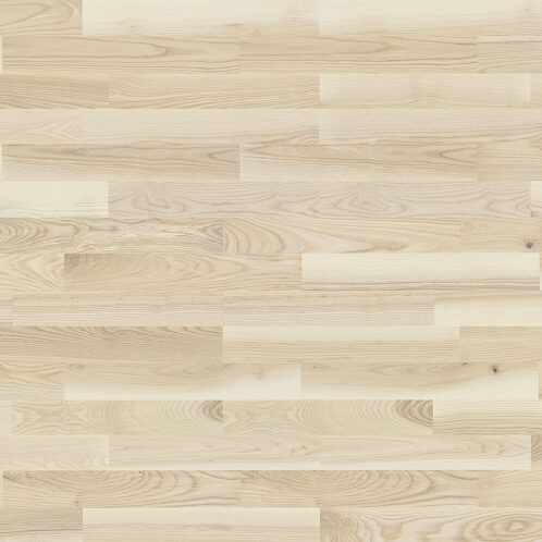 Jesion Milkshake Molti