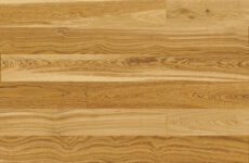 Dąb Missouri Grande