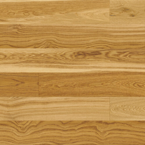 Dąb Missouri Grande