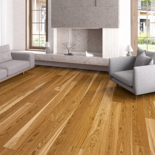 Dąb Colorado Grande