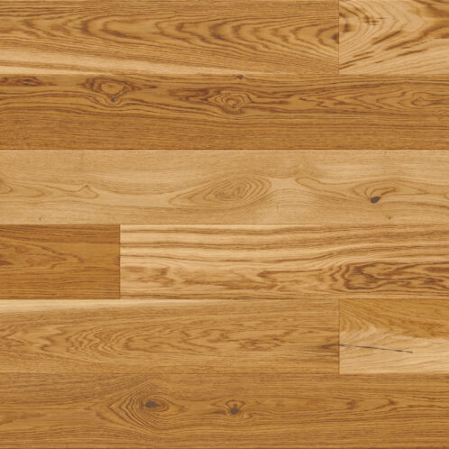 Dąb Colorado Grande