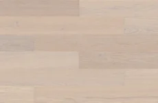 Dąb Aurantis Esthetic